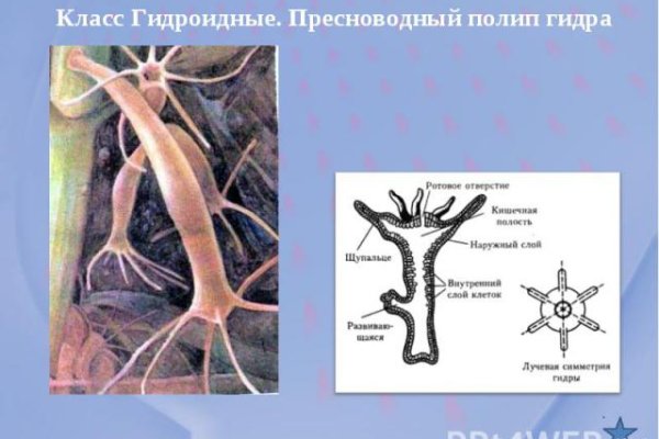 Как перейти на кракен