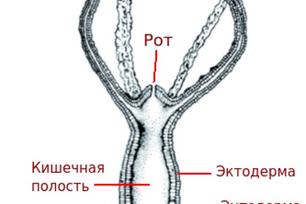 Кракен современный маркет