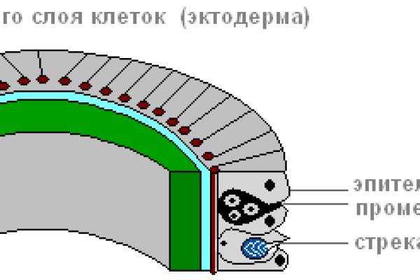 Кракен рабочая ссылка на официальный магазин