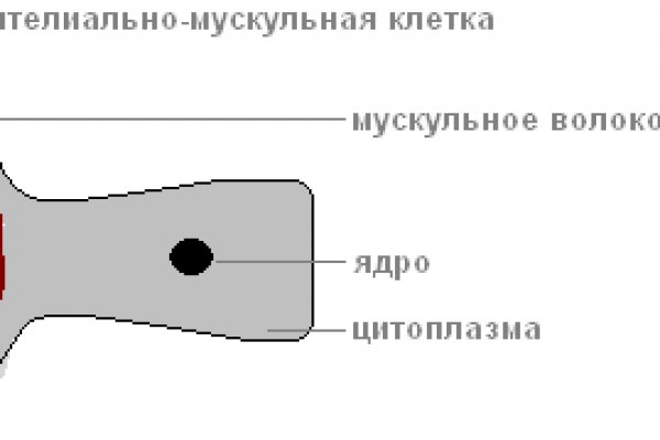 Кракен даркнет отзывы